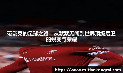 范戴克的足球之路：从默默无闻到世界顶级后卫的蜕变与荣耀