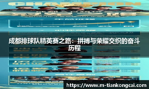 成都排球队精英赛之路：拼搏与荣耀交织的奋斗历程